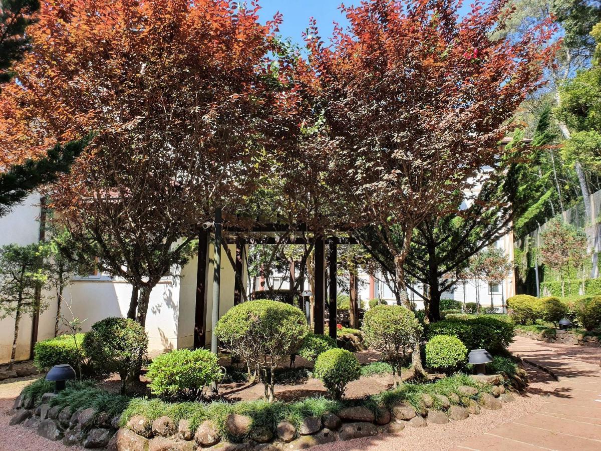 Apto No Centro De Gramado Com Piscina Termica Exteriör bild